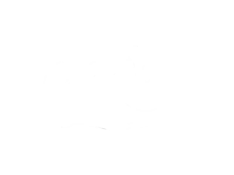 Transparency and Trust